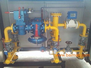 遼寧朝陽RTJ 50 1.6S型燃?xì)庹{(diào)壓器 生產(chǎn)廠家與價格解析